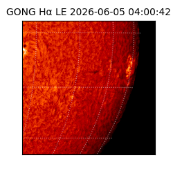 gong - 2026-06-05T04:00:42
