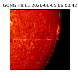 gong - 2026-06-05T06:00:42