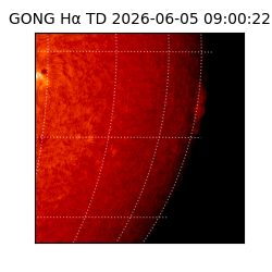 gong - 2026-06-05T09:00:22