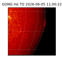 gong - 2026-06-05T11:00:22
