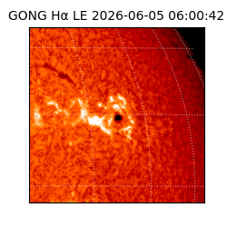 gong - 2026-06-05T06:00:42