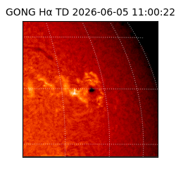 gong - 2026-06-05T11:00:22