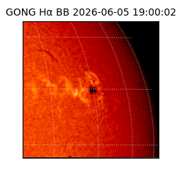 gong - 2026-06-05T19:00:02