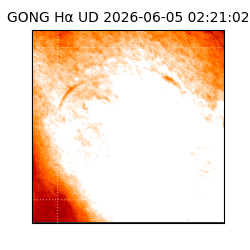 gong - 2026-06-05T02:21:02