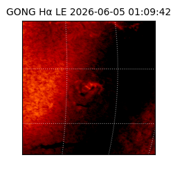 gong - 2026-06-05T01:09:42