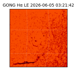 gong - 2026-06-05T03:21:42