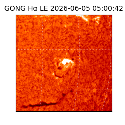 gong - 2026-06-05T05:00:42