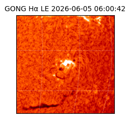 gong - 2026-06-05T06:00:42