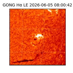 gong - 2026-06-05T08:00:42