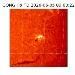 gong - 2026-06-05T09:00:22