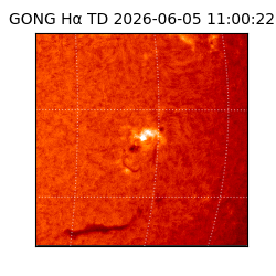 gong - 2026-06-05T11:00:22