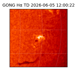 gong - 2026-06-05T12:00:22