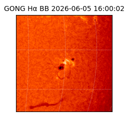 gong - 2026-06-05T16:00:02
