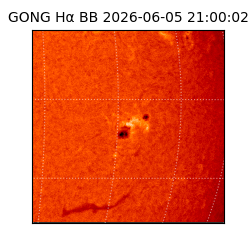 gong - 2026-06-05T21:00:02