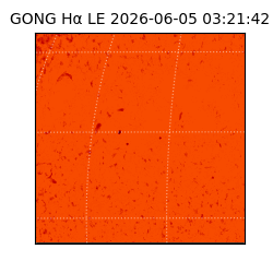 gong - 2026-06-05T03:21:42