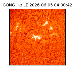 gong - 2026-06-05T04:00:42