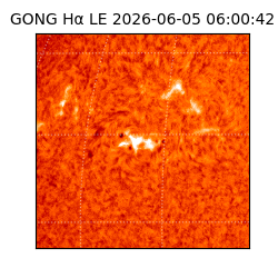 gong - 2026-06-05T06:00:42