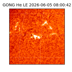 gong - 2026-06-05T08:00:42