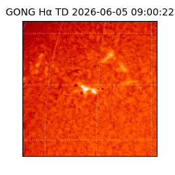 gong - 2026-06-05T09:00:22