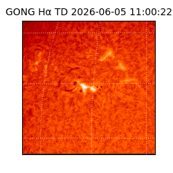 gong - 2026-06-05T11:00:22