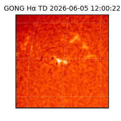 gong - 2026-06-05T12:00:22