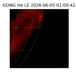 gong - 2026-06-05T01:09:42