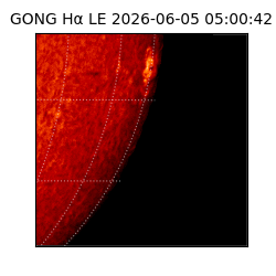 gong - 2026-06-05T05:00:42