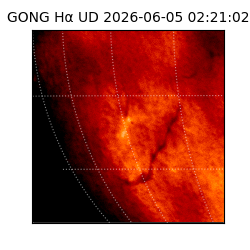 gong - 2026-06-05T02:21:02