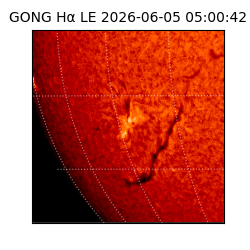 gong - 2026-06-05T05:00:42