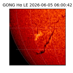 gong - 2026-06-05T06:00:42
