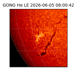 gong - 2026-06-05T08:00:42