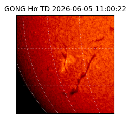 gong - 2026-06-05T11:00:22