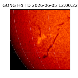 gong - 2026-06-05T12:00:22