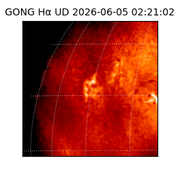 gong - 2026-06-05T02:21:02