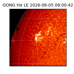 gong - 2026-06-05T08:00:42