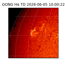 gong - 2026-06-05T10:00:22