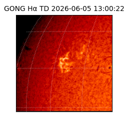 gong - 2026-06-05T13:00:22