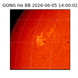 gong - 2026-06-05T14:00:02