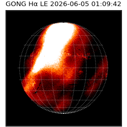 gong - 2026-06-05T01:09:42