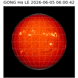 gong - 2026-06-05T06:00:42