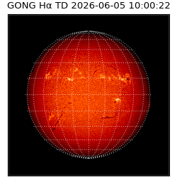 gong - 2026-06-05T10:00:22