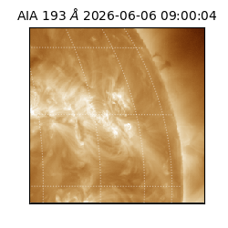 saia - 2026-06-06T09:00:04.842000