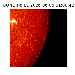 gong - 2026-06-06T01:00:42