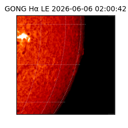 gong - 2026-06-06T02:00:42