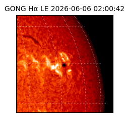 gong - 2026-06-06T02:00:42