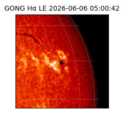 gong - 2026-06-06T05:00:42