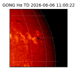 gong - 2026-06-06T11:00:22
