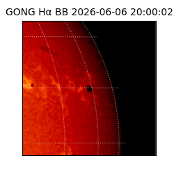 gong - 2026-06-06T20:00:02