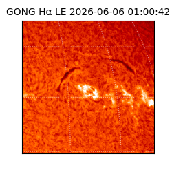 gong - 2026-06-06T01:00:42