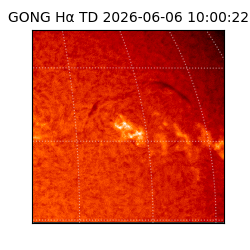 gong - 2026-06-06T10:00:22